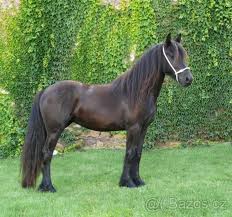 imagesCA8AL3YB